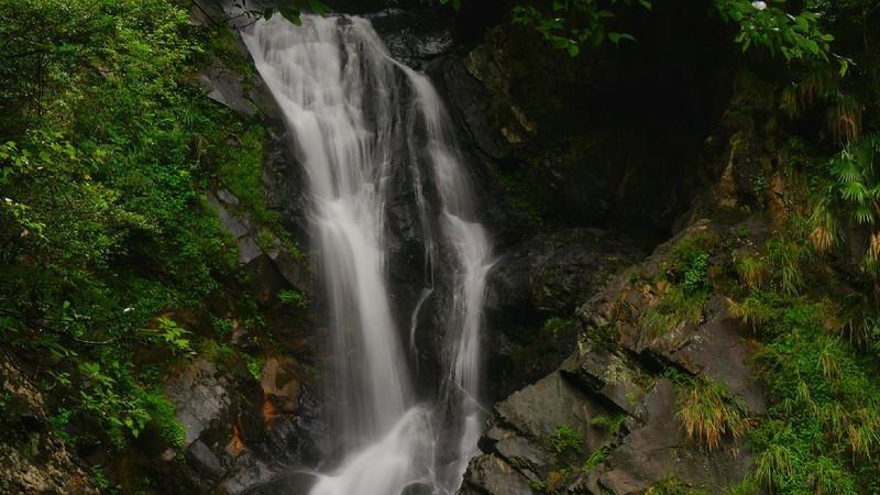 春雨直播app